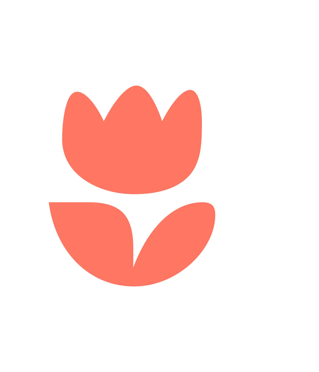Когда нужно заходить  на Flowwow, и где он работать точно не будет